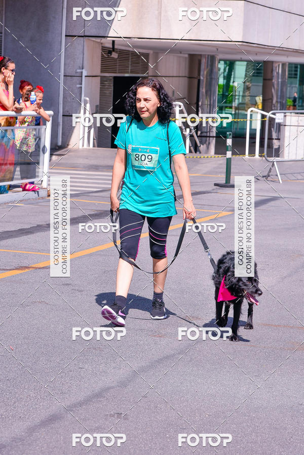 Buy your photos of the event2� Pet Run Shopping Eldorado  on Fotop