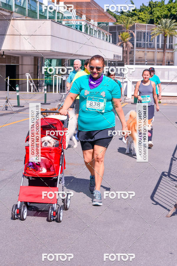Buy your photos of the event2� Pet Run Shopping Eldorado  on Fotop