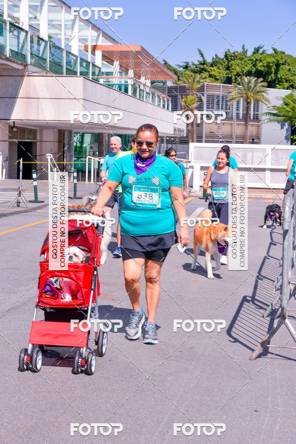 Buy your photos of the event2� Pet Run Shopping Eldorado  on Fotop