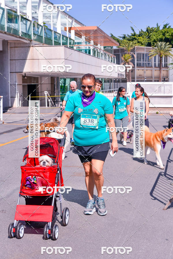 Buy your photos of the event2� Pet Run Shopping Eldorado  on Fotop