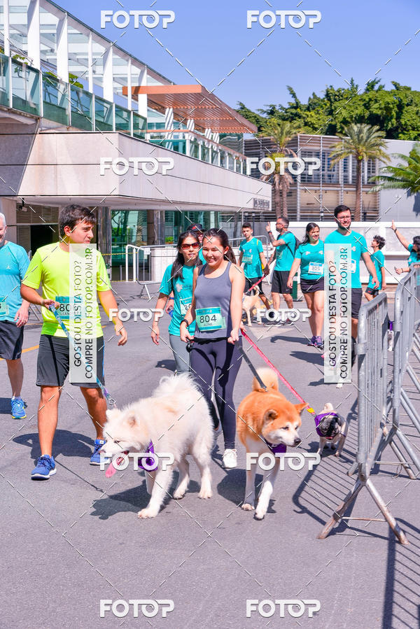Buy your photos of the event2� Pet Run Shopping Eldorado  on Fotop