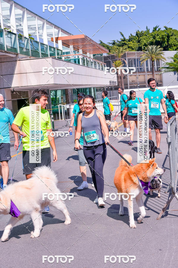 Buy your photos of the event2� Pet Run Shopping Eldorado  on Fotop
