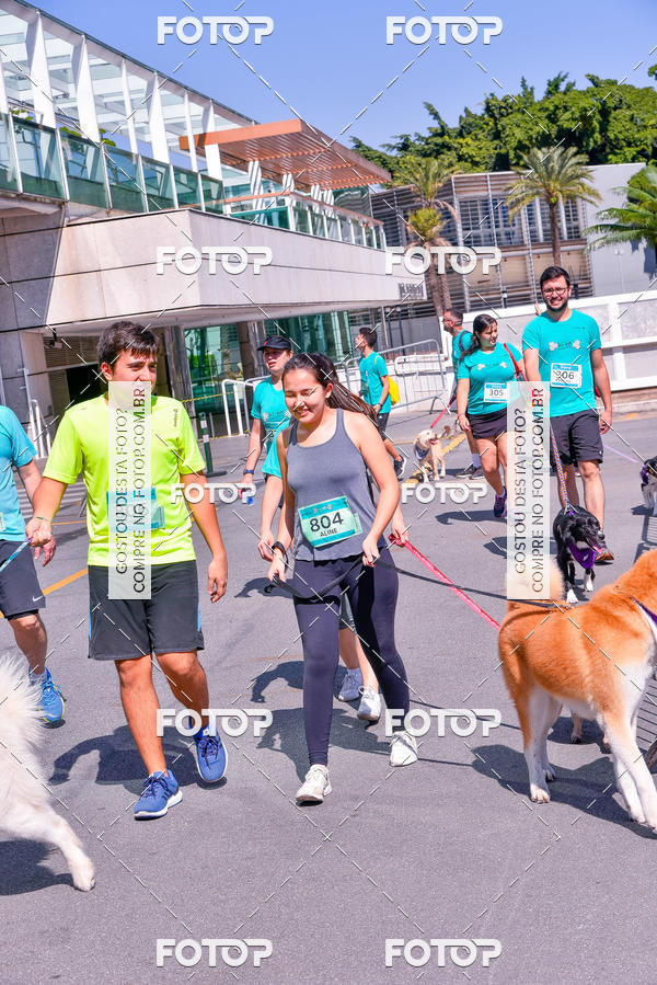 Buy your photos of the event2� Pet Run Shopping Eldorado  on Fotop