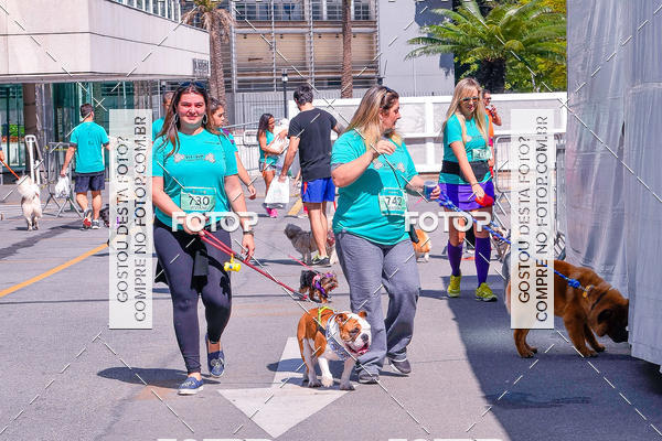 Buy your photos of the event2� Pet Run Shopping Eldorado  on Fotop