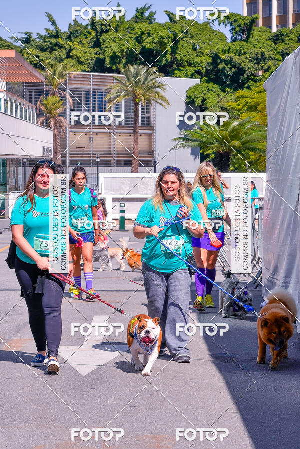 Buy your photos of the event2� Pet Run Shopping Eldorado  on Fotop