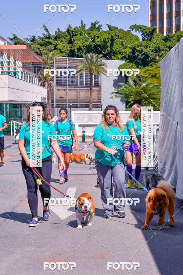 Buy your photos of the event2� Pet Run Shopping Eldorado  on Fotop