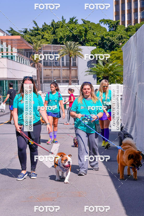 Buy your photos of the event2� Pet Run Shopping Eldorado  on Fotop