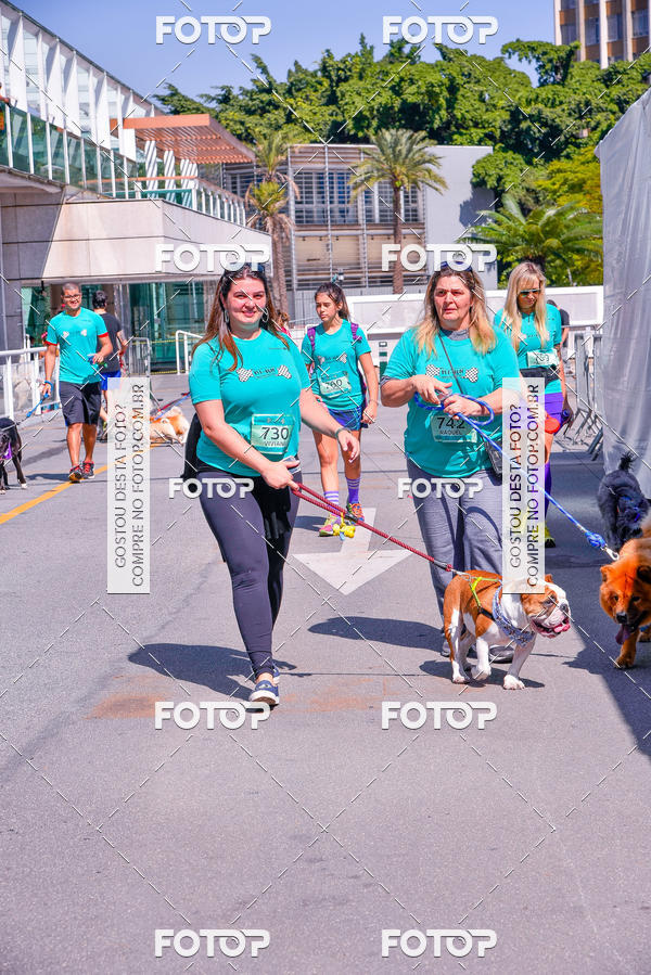 Buy your photos of the event2� Pet Run Shopping Eldorado  on Fotop