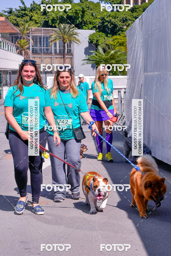 Buy your photos of the event2� Pet Run Shopping Eldorado  on Fotop