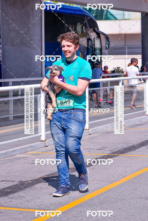 Buy your photos of the event2� Pet Run Shopping Eldorado  on Fotop
