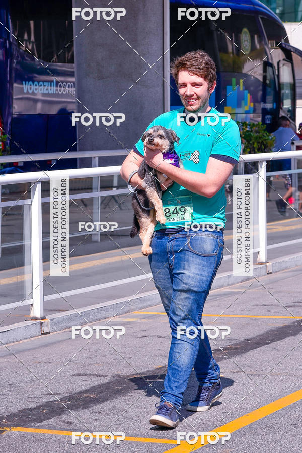 Buy your photos of the event2� Pet Run Shopping Eldorado  on Fotop