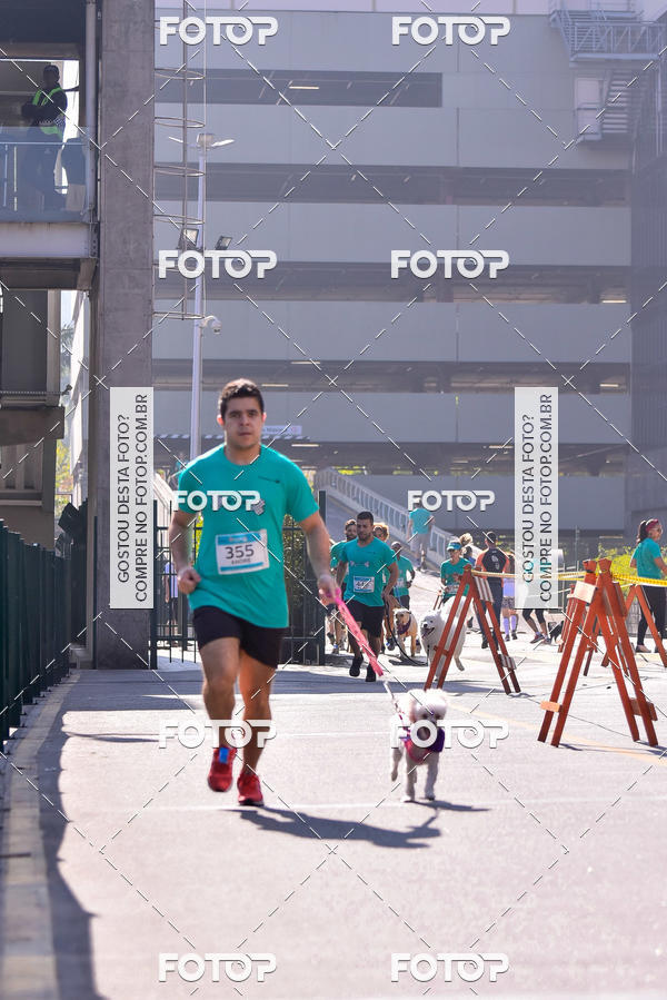 Buy your photos of the event2 Pet Run Shopping Eldorado  on Fotop