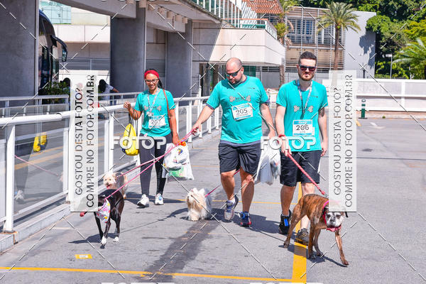 Buy your photos of the event2� Pet Run Shopping Eldorado  on Fotop