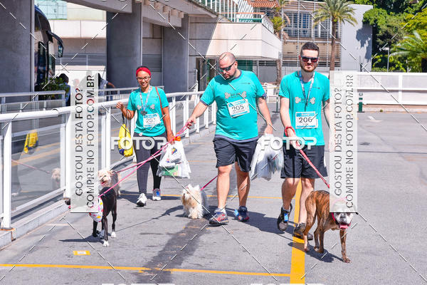 Buy your photos of the event2� Pet Run Shopping Eldorado  on Fotop