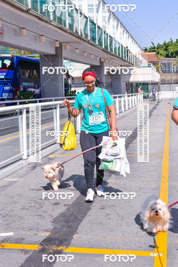 Buy your photos of the event2� Pet Run Shopping Eldorado  on Fotop