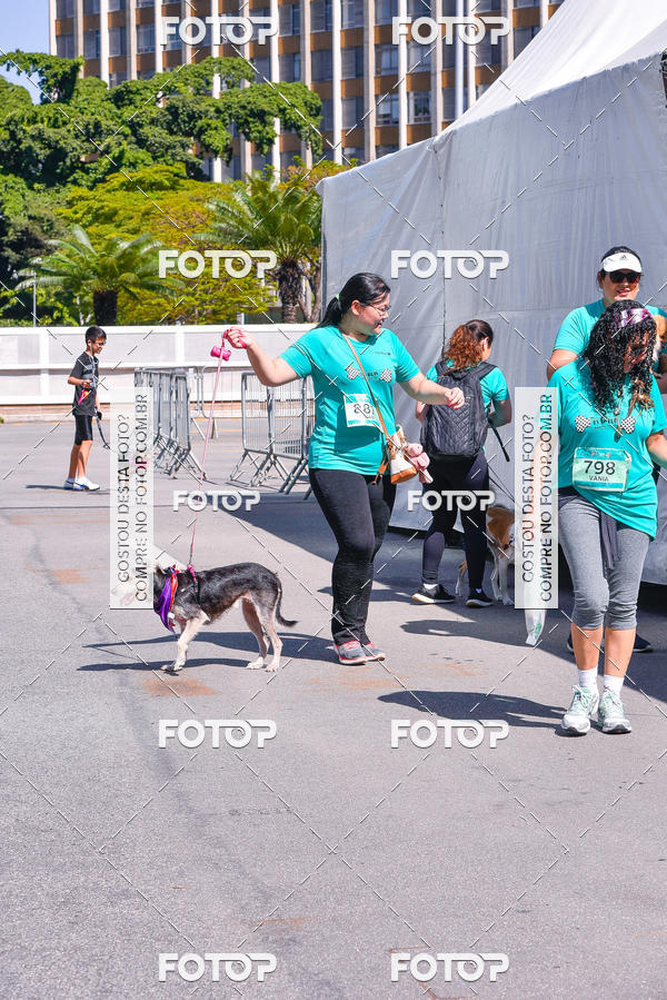 Buy your photos of the event2� Pet Run Shopping Eldorado  on Fotop