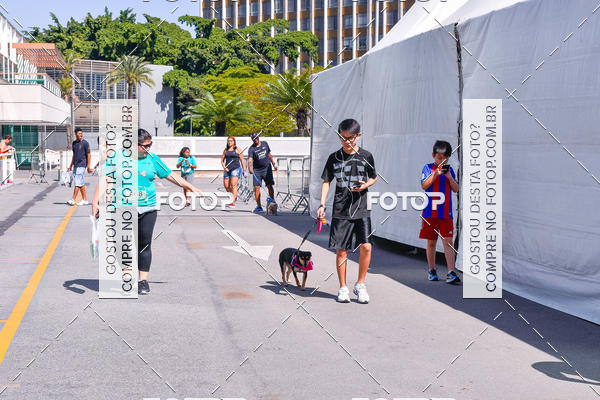 Buy your photos of the event2� Pet Run Shopping Eldorado  on Fotop