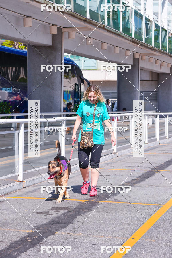 Buy your photos of the event2� Pet Run Shopping Eldorado  on Fotop