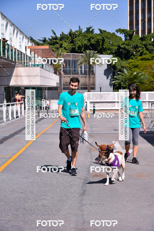 Buy your photos of the event2� Pet Run Shopping Eldorado  on Fotop