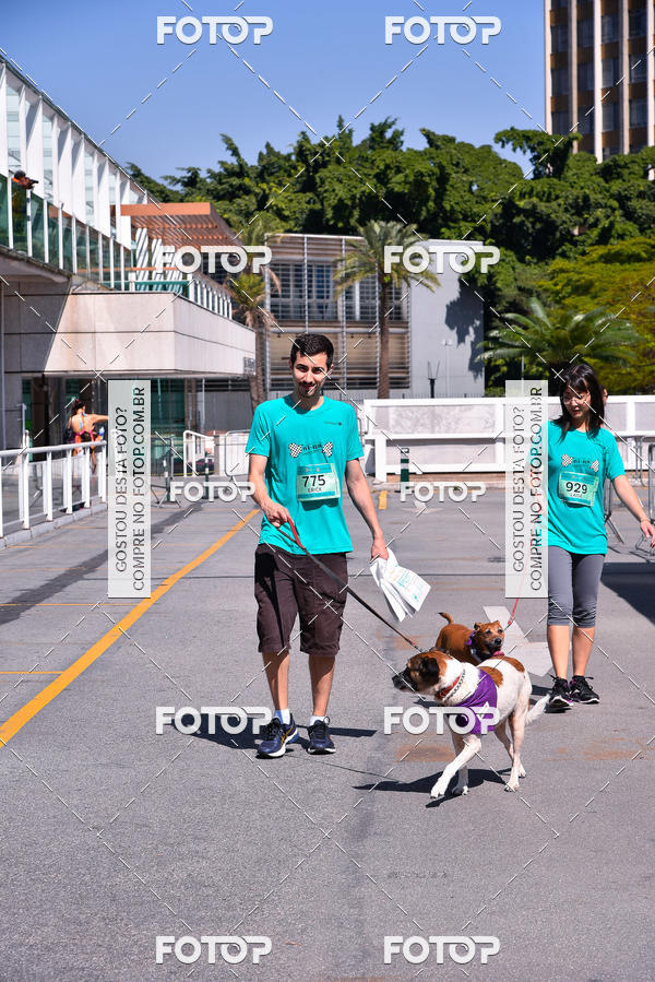 Buy your photos of the event2� Pet Run Shopping Eldorado  on Fotop