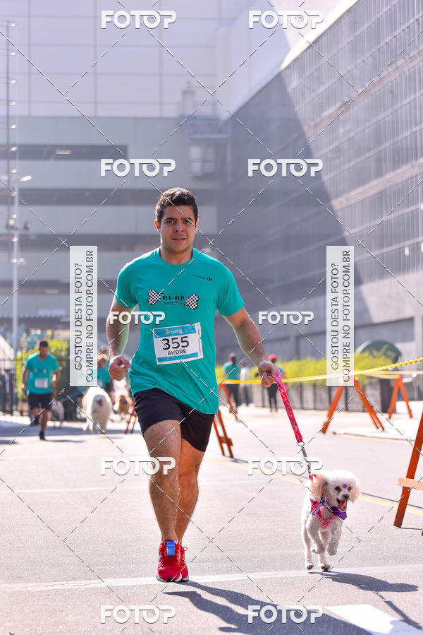 Buy your photos of the event2 Pet Run Shopping Eldorado  on Fotop