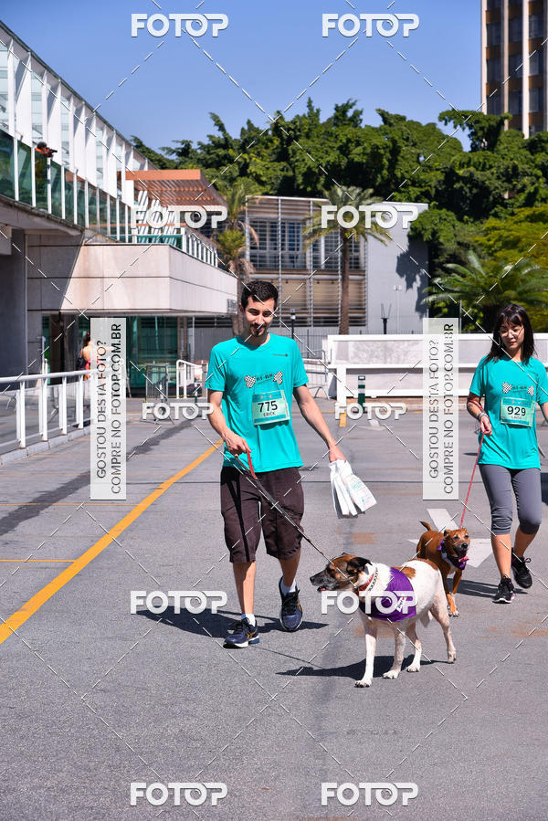 Buy your photos of the event2� Pet Run Shopping Eldorado  on Fotop