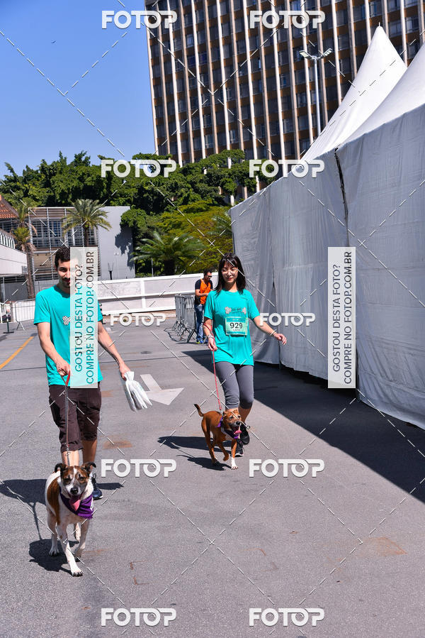 Buy your photos of the event2� Pet Run Shopping Eldorado  on Fotop