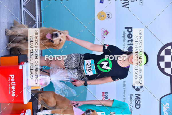 Buy your photos of the event2� Pet Run Shopping Eldorado  on Fotop
