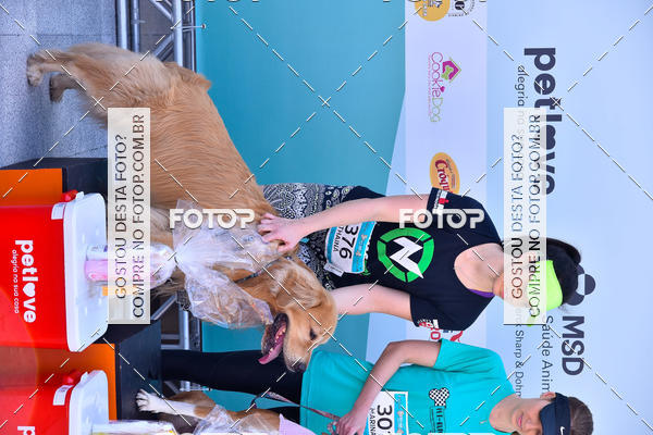 Buy your photos of the event2� Pet Run Shopping Eldorado  on Fotop