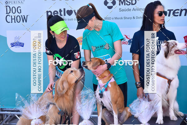 Buy your photos of the event2� Pet Run Shopping Eldorado  on Fotop
