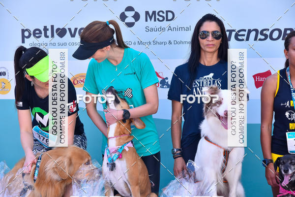 Buy your photos of the event2� Pet Run Shopping Eldorado  on Fotop