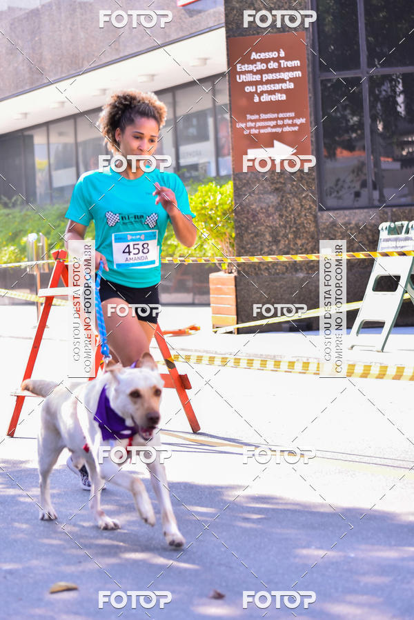 Buy your photos of the event2 Pet Run Shopping Eldorado  on Fotop