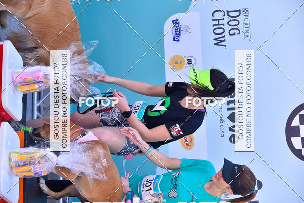 Buy your photos of the event2� Pet Run Shopping Eldorado  on Fotop