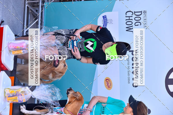 Buy your photos of the event2� Pet Run Shopping Eldorado  on Fotop