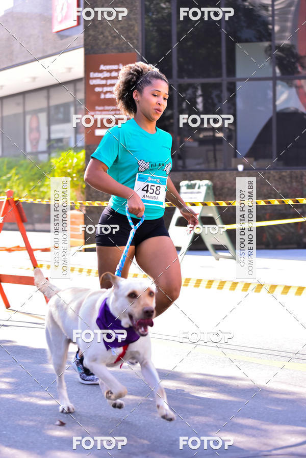 Buy your photos of the event2 Pet Run Shopping Eldorado  on Fotop