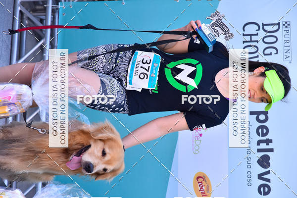 Buy your photos of the event2� Pet Run Shopping Eldorado  on Fotop