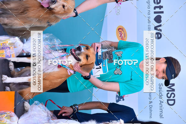 Buy your photos of the event2� Pet Run Shopping Eldorado  on Fotop