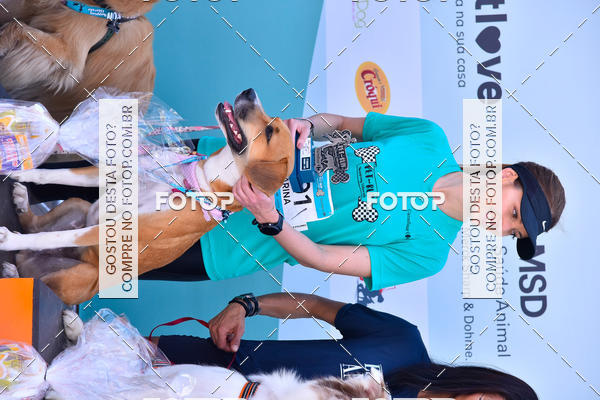 Buy your photos of the event2� Pet Run Shopping Eldorado  on Fotop