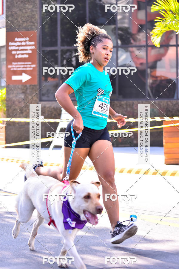 Buy your photos of the event2 Pet Run Shopping Eldorado  on Fotop