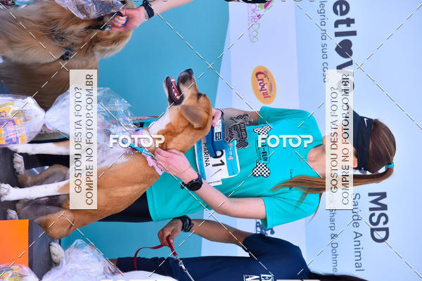 Buy your photos of the event2� Pet Run Shopping Eldorado  on Fotop