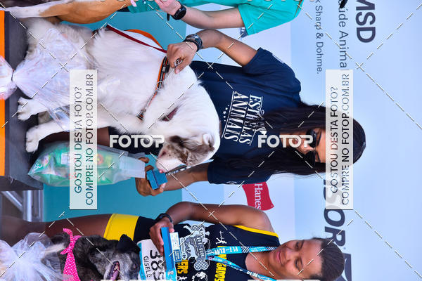 Buy your photos of the event2� Pet Run Shopping Eldorado  on Fotop