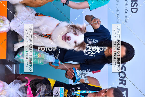 Buy your photos of the event2� Pet Run Shopping Eldorado  on Fotop