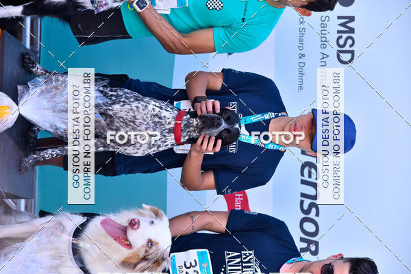 Buy your photos of the event2� Pet Run Shopping Eldorado  on Fotop