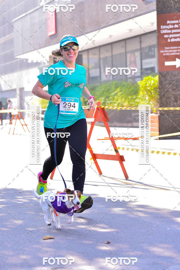 Buy your photos of the event2 Pet Run Shopping Eldorado  on Fotop