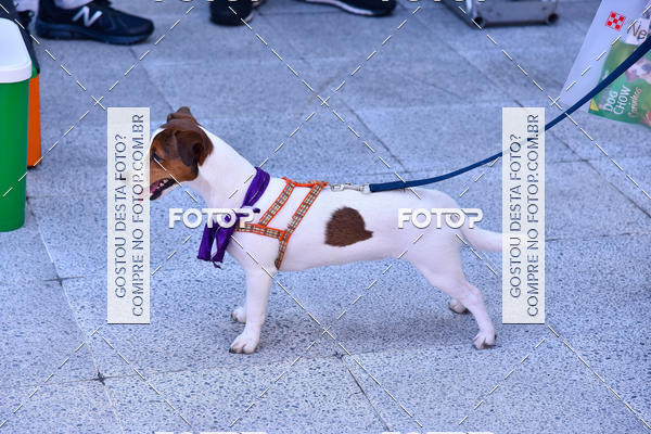 Buy your photos of the event2� Pet Run Shopping Eldorado  on Fotop