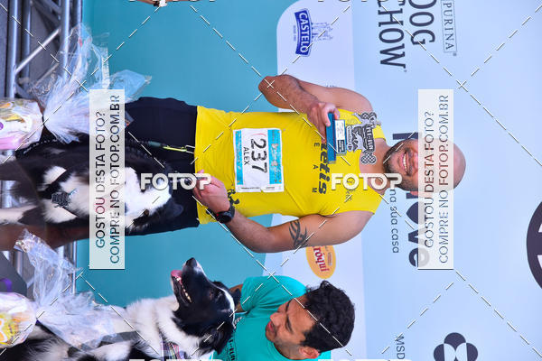 Buy your photos of the event2� Pet Run Shopping Eldorado  on Fotop