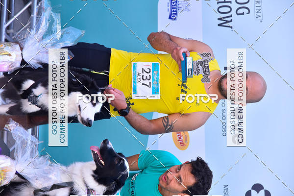 Buy your photos of the event2� Pet Run Shopping Eldorado  on Fotop