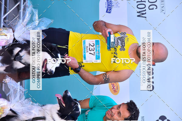 Buy your photos of the event2� Pet Run Shopping Eldorado  on Fotop