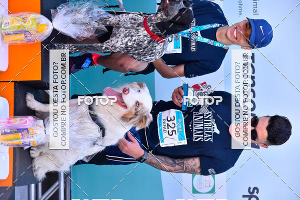Buy your photos of the event2� Pet Run Shopping Eldorado  on Fotop
