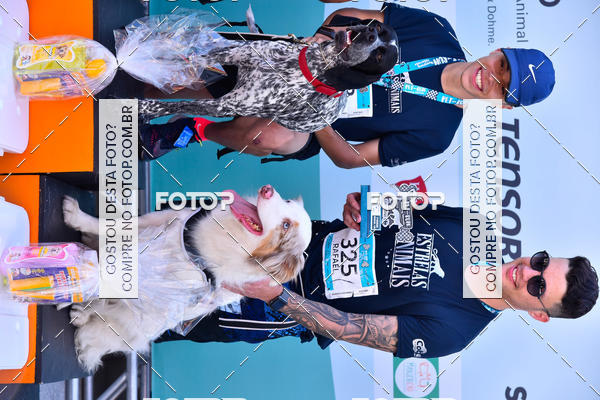 Buy your photos of the event2� Pet Run Shopping Eldorado  on Fotop